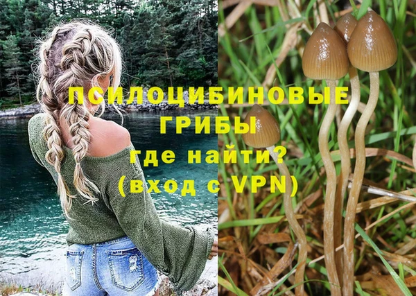 ECSTASY Баксан