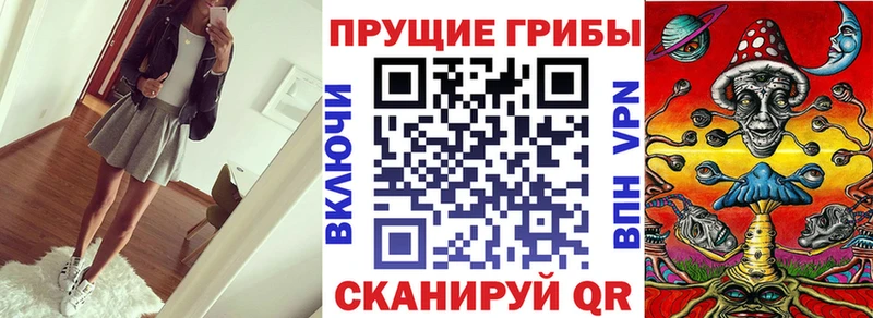 Псилоцибиновые грибы Psilocybine cubensis  площадка какой сайт  Усолье 